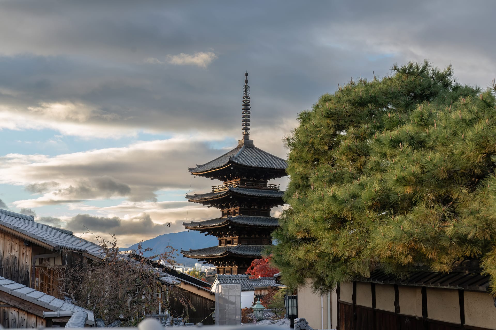 悩みを解決する寺院・神社の新しい集客法